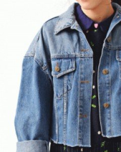 Vintage crop denim jacket