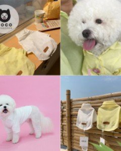 [오늘출발](모코댕댕)과즙미댕댕 #강아지옷