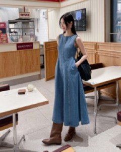 Garret denim dress