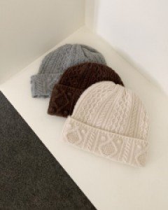 Twisted knit beanie