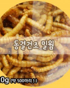 (투명 밀봉포장)동결 건조밀웜 20g(약500마리)