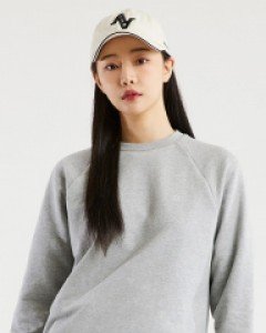 Icon logo sweatshirt gray