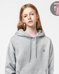 Icon logo hoodie fluff melange gray