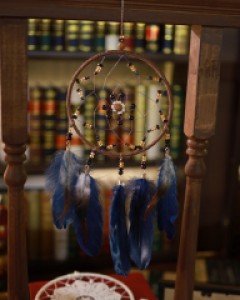 Brown Blue Feather Interior Dreamcatcher