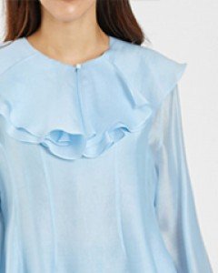 ruffled sheer blouse (3 colors)