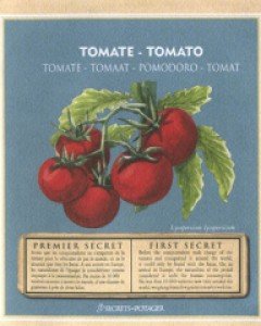 tomato-seed packets