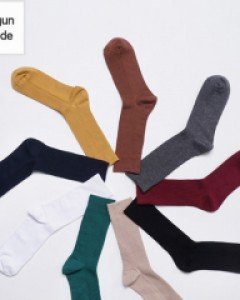 Daily 9Color Golgi Sox