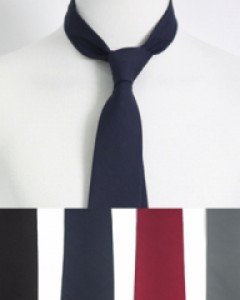 A basic tie that never goes out of style (4 colors)